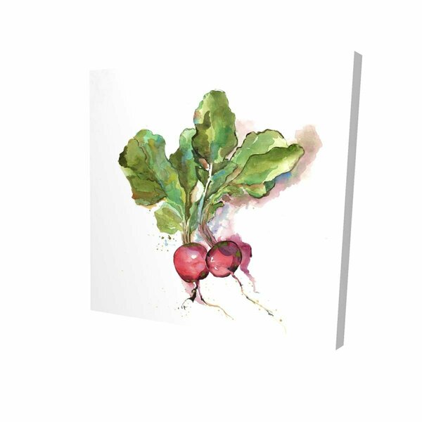 Fondo 16 x 16 in. Watercolor Radish-Print on Canvas FO2789720